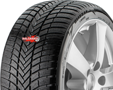 Шины Bridgestone Bridgestone Blizzak LM-005 (225/50R18) 99H