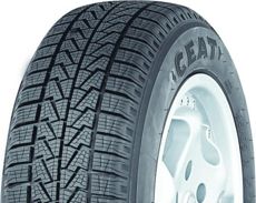 Шины Ceat Ceat Artic-3 (185/65R14) 00