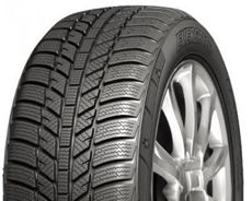 Шины Evergreen Evergreen EW-62 2013 year (205/50R16) 87H