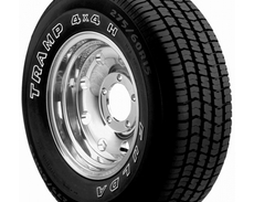 Шины Fulda Fulda TRAMP 4X4 H OWL (255/60R15) 102H