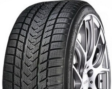 Шины Gripmax Gripmax Status Pro Winter  2019 (225/40R19) 93V