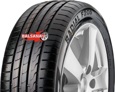 Шины Minerva Minerva Radial F205 (Rim Fringe Protection) 2020  (225/45R18) 95Y