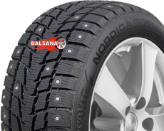 Шины TECNICA TECNICA NORDICA GT-X D/D (RIM FRINGE PROTECTION) 2021 (205/55R16) 94T